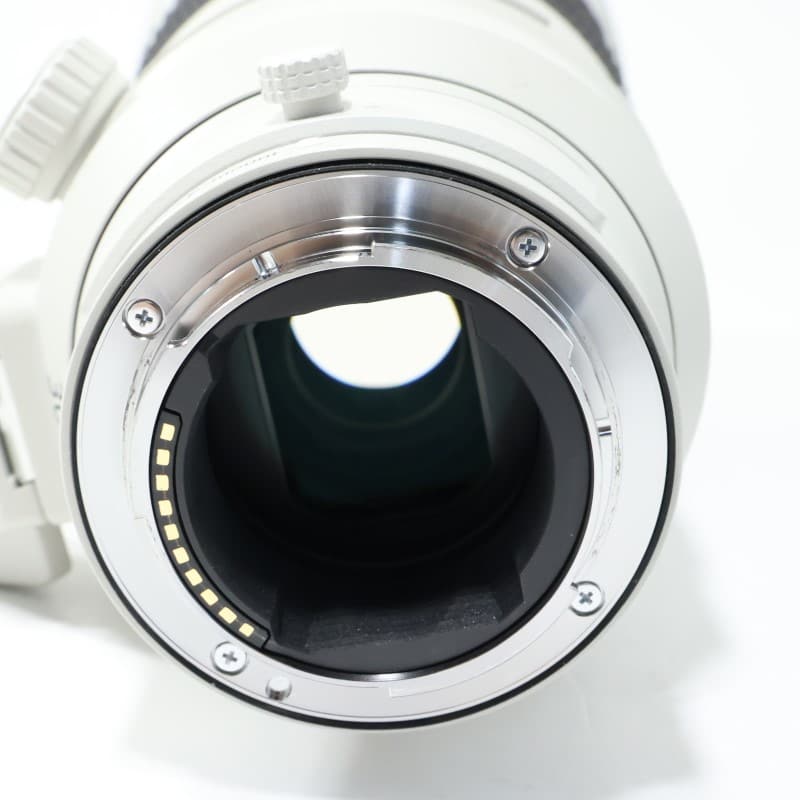FE 300mm F2.8 GM OSS SEL300F28GM