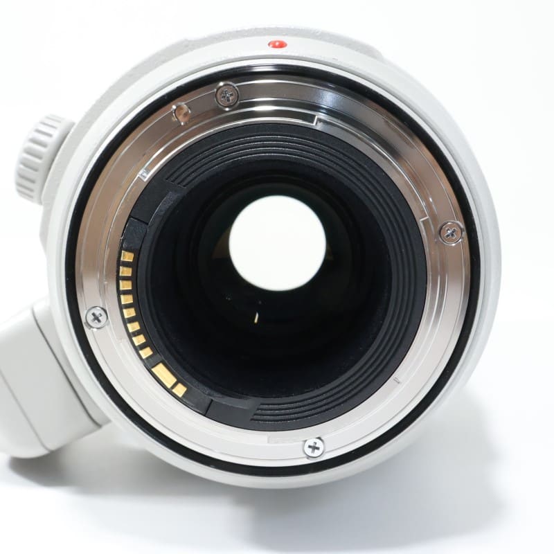 EF100-400mm F4.5-5.6L IS II USM