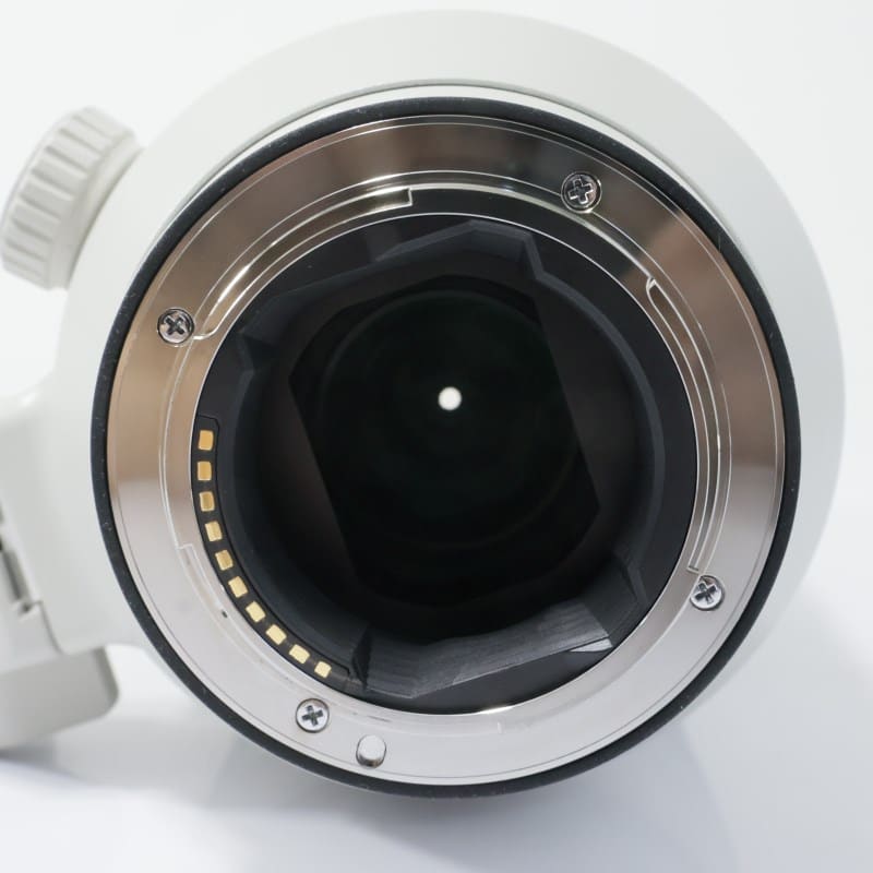 FE 100-400mm F4.5-5.6 GM OSS SEL100400GM