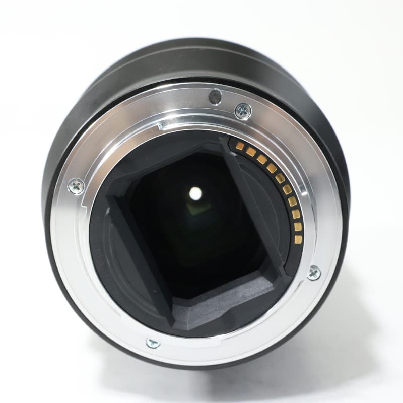 FE 90mm F2.8 Macro G OSS SEL90M28G