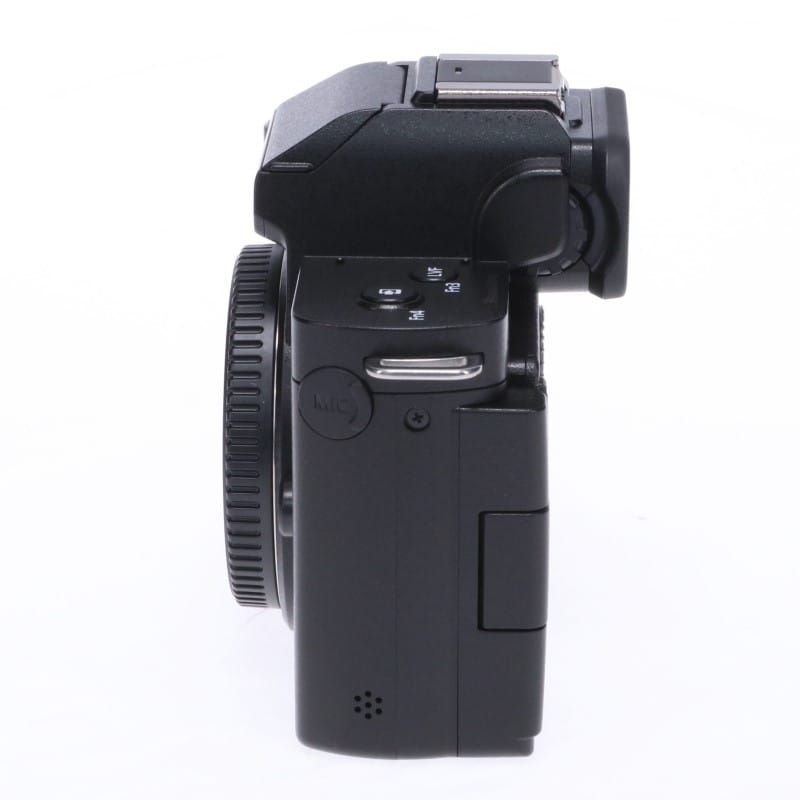 LUMIX G100 ボディ DC-G100