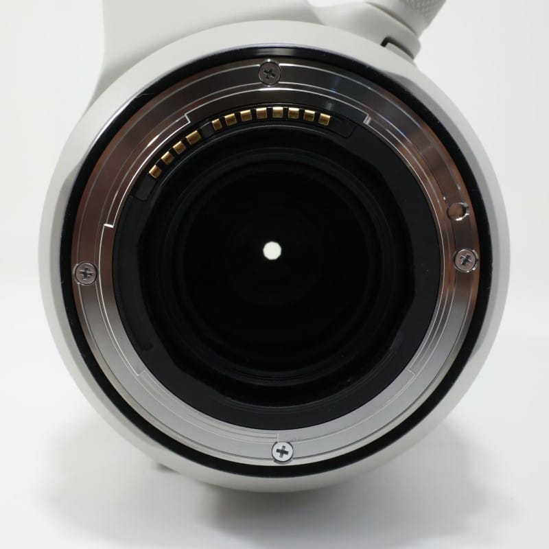 RF100-500mm F4.5-7.1 L IS USM