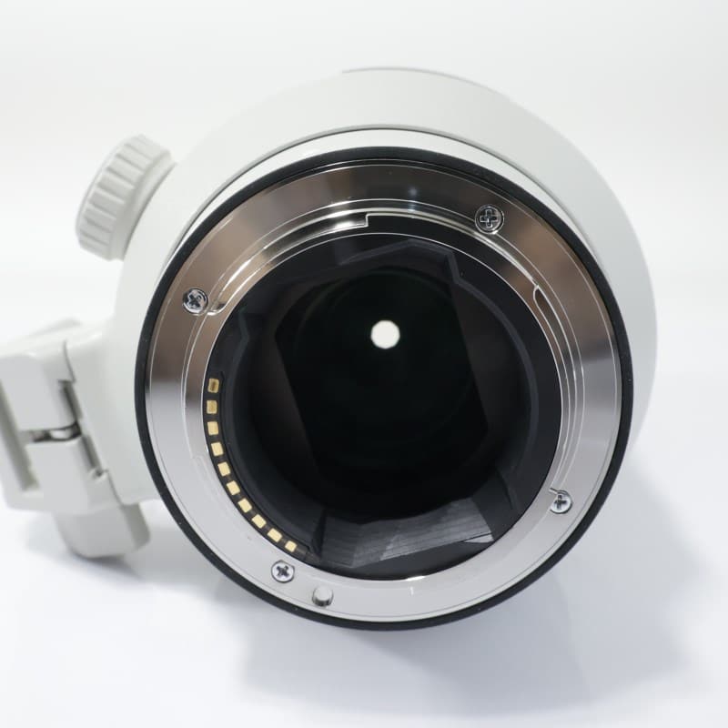 FE 100-400mm F4.5-5.6 GM OSS SEL100400GM
