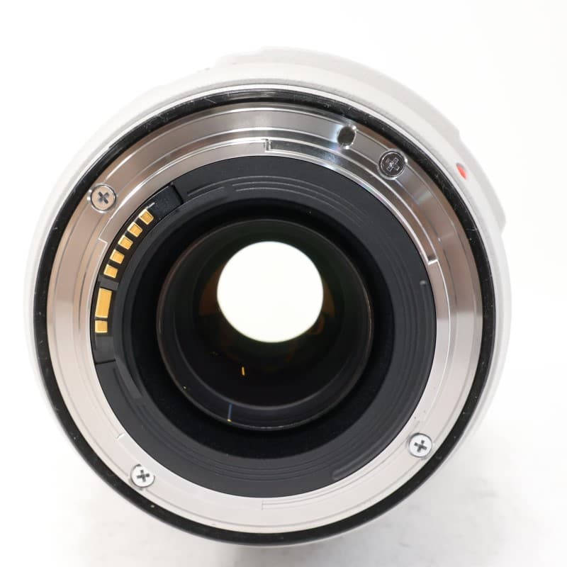 EF 70-300mm F4-5.6 L IS USM