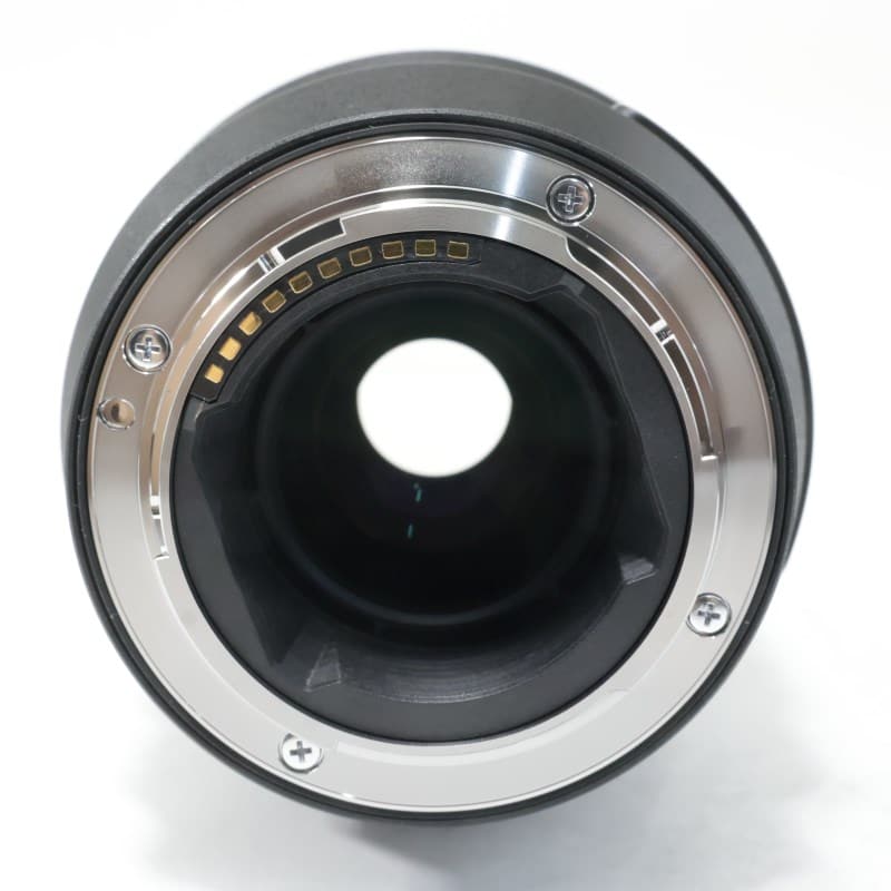 FE 100mm F2.8 Macro GM OSS SEL100M28GM