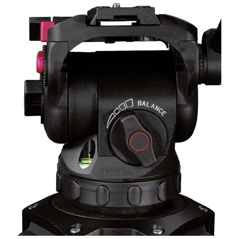 FOCUS 8