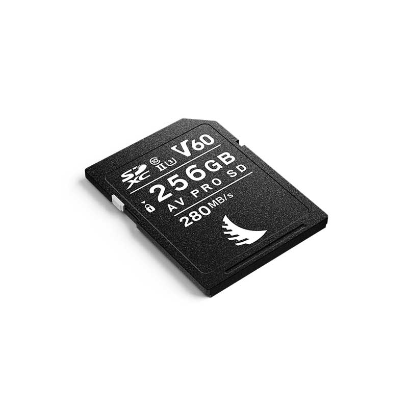 AV PRO SD MK2 256GB V60 AVP256SDMK2V60