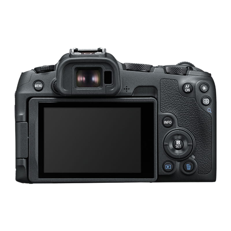 EOS R8 RF24-50 IS STM レンズキット