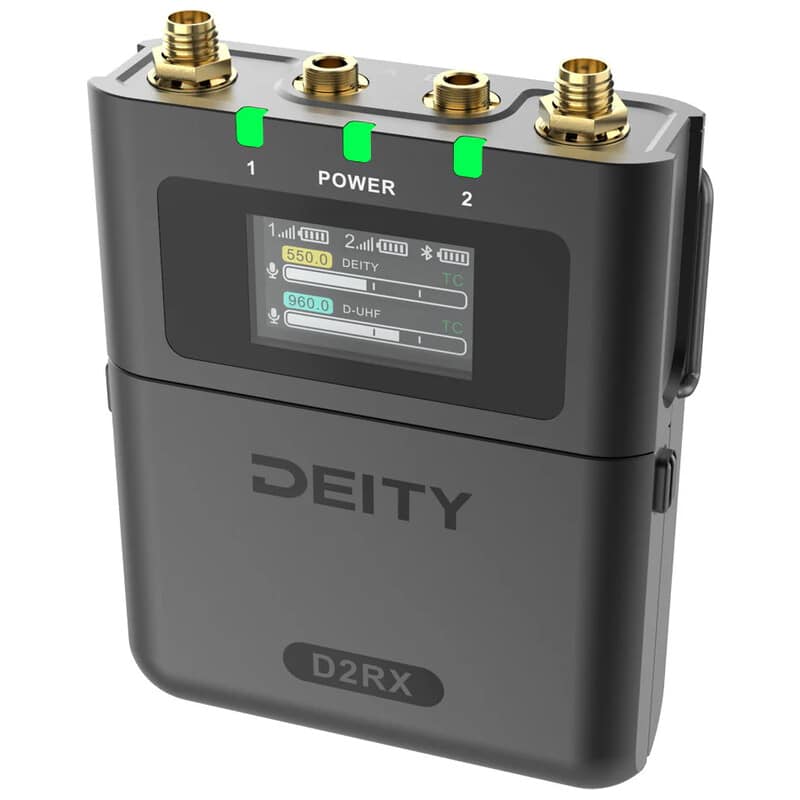 THEOS デジタルワイヤレス 2ch受信機 D2RX DP0402048J
