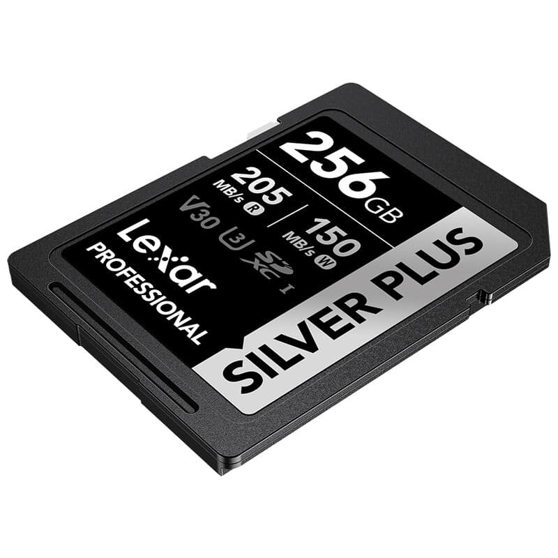 Professional SILVER PLUS SDXC UHS-I V30 256GB 並行輸入品 LSDSIPL256G-BNNNG