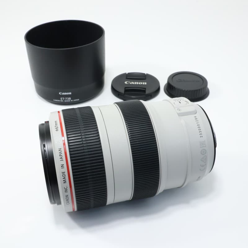 EF 70-300mm F4-5.6 L IS USM