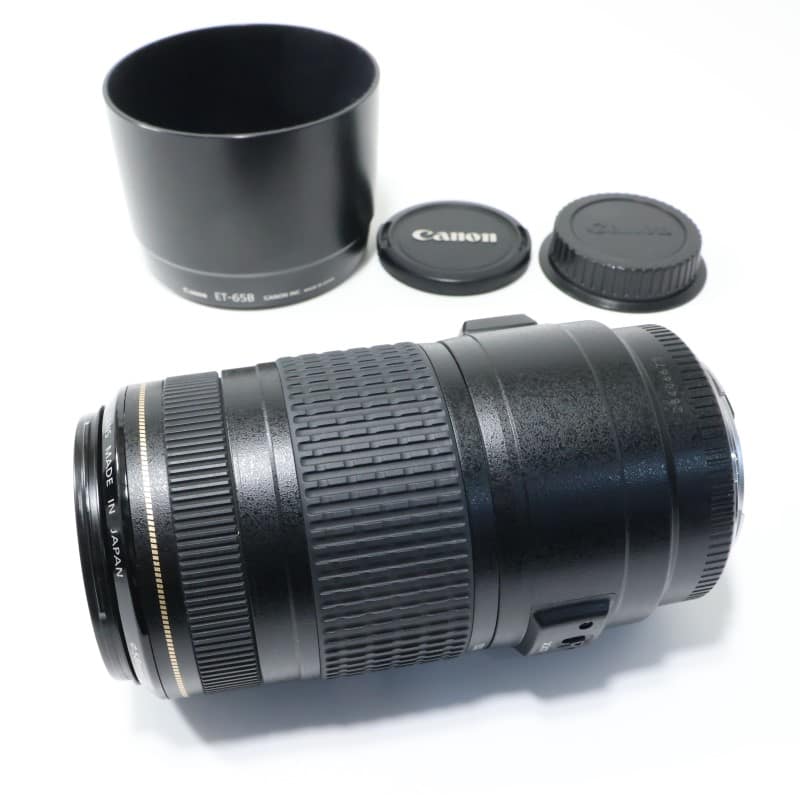 EF 70-300mm F4-5.6 IS USM