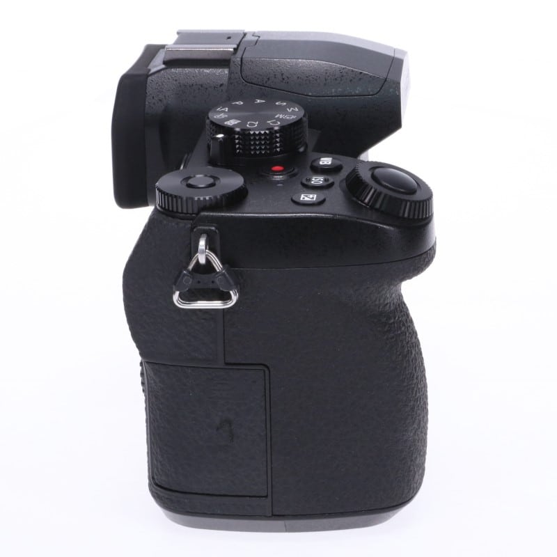 LUMIX G99 DC-G99