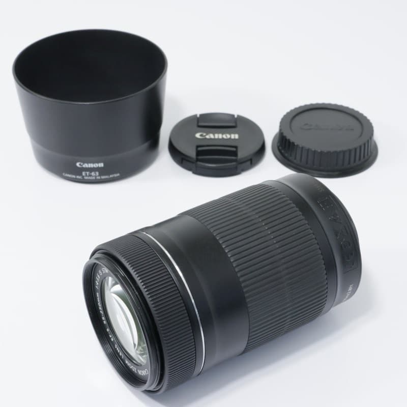 EF-S55-250mm F4-5.6 IS STM