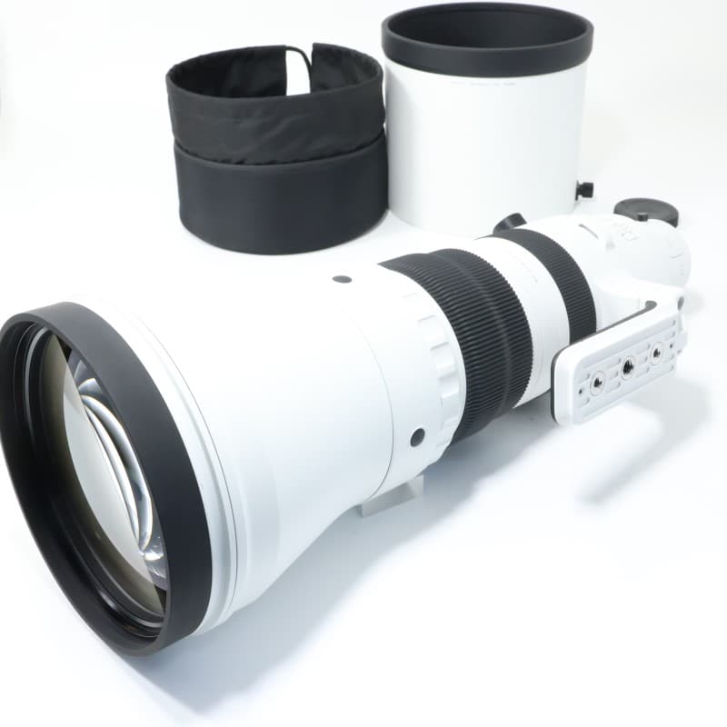 Sigma 300-600mm F4 DG OS | Sports ソニーEマウント