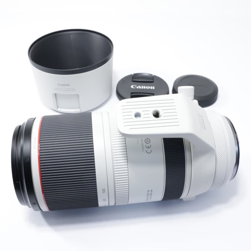 RF100-500mm F4.5-7.1 L IS USM