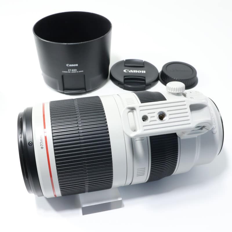 EF100-400mm F4.5-5.6L IS II USM