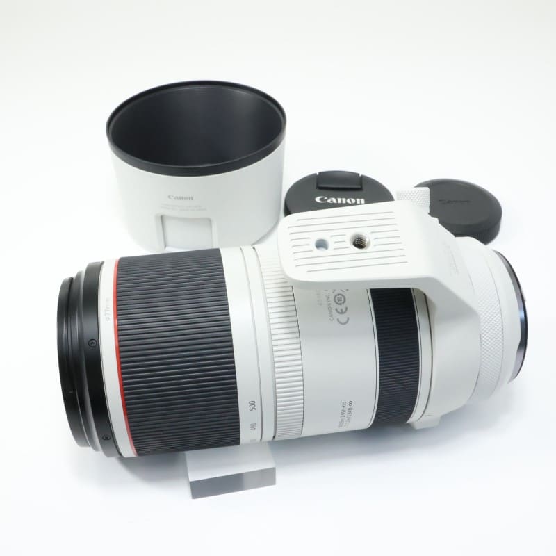 RF100-500mm F4.5-7.1 L IS USM
