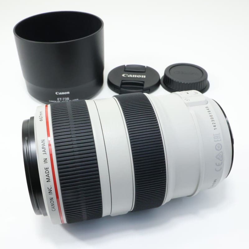 EF 70-300mm F4-5.6 L IS USM