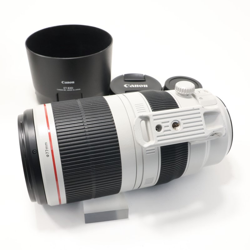 EF100-400mm F4.5-5.6L IS II USM