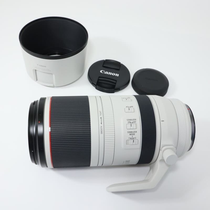 RF100-500mm F4.5-7.1 L IS USM