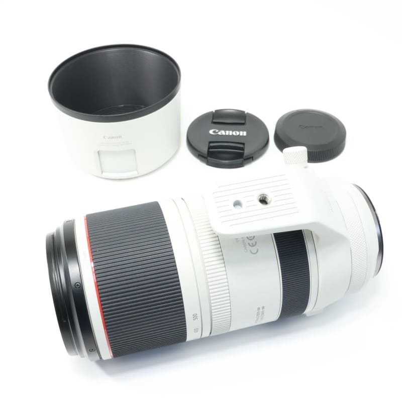 RF100-500mm F4.5-7.1 L IS USM