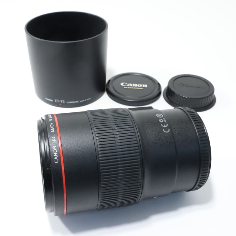 EF100mm F2.8Lマクロ IS USM