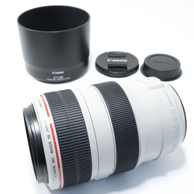 EF 70-300mm F4-5.6 L IS USM