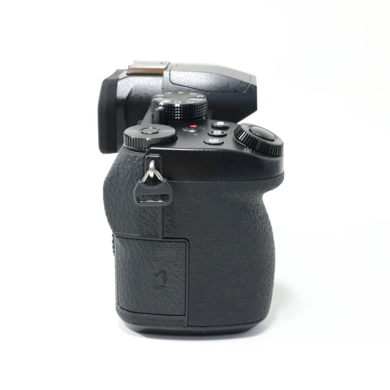 LUMIX G99D ボディ DC-G99D-K