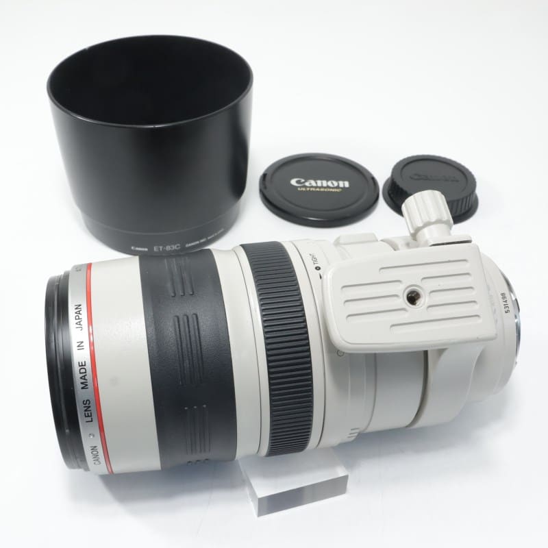 EF 100-400mm F4.5-5.6 L IS USM