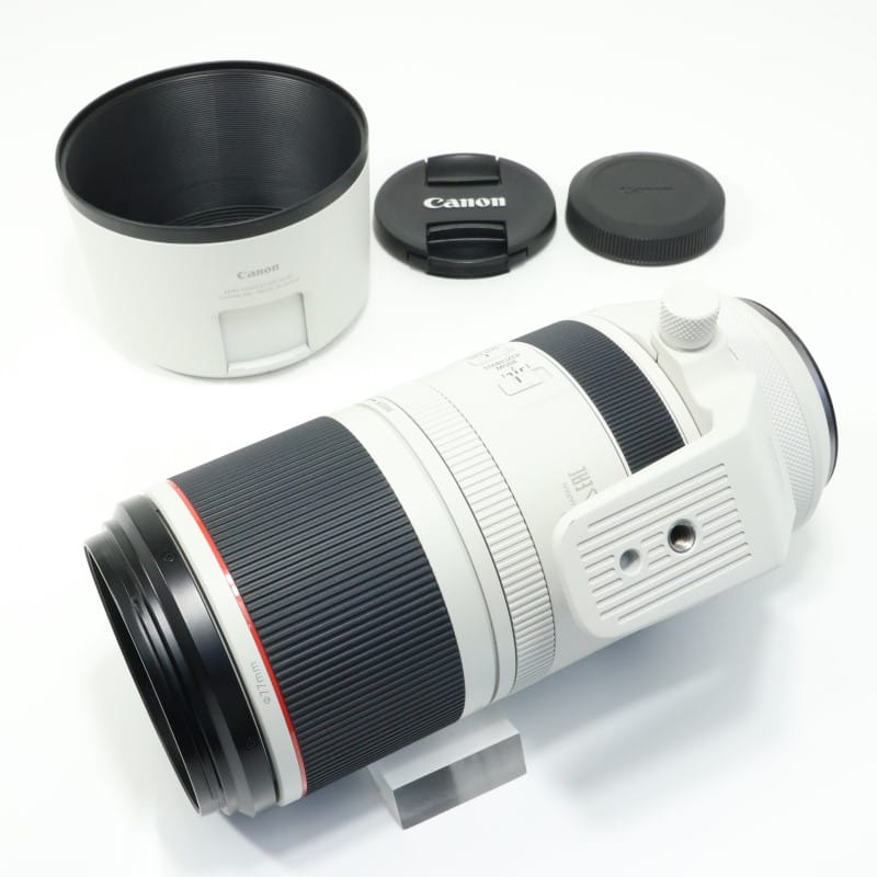 RF100-500mm F4.5-7.1 L IS USM