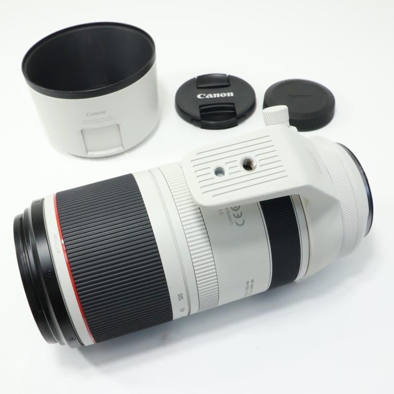 RF100-500mm F4.5-7.1 L IS USM