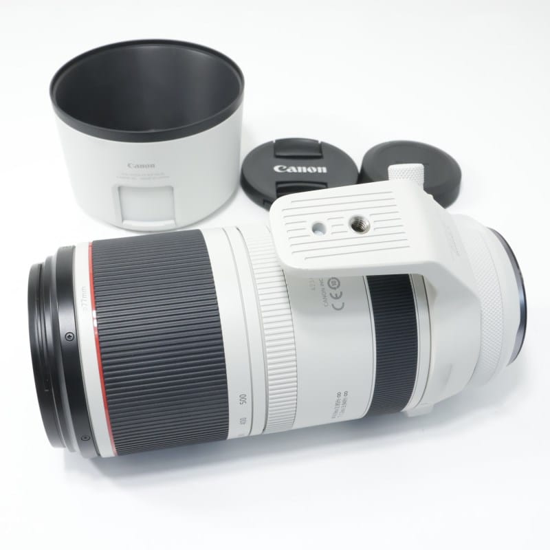 RF100-500mm F4.5-7.1 L IS USM