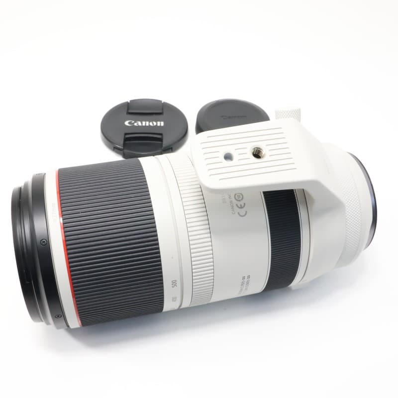 RF100-500mm F4.5-7.1 L IS USM