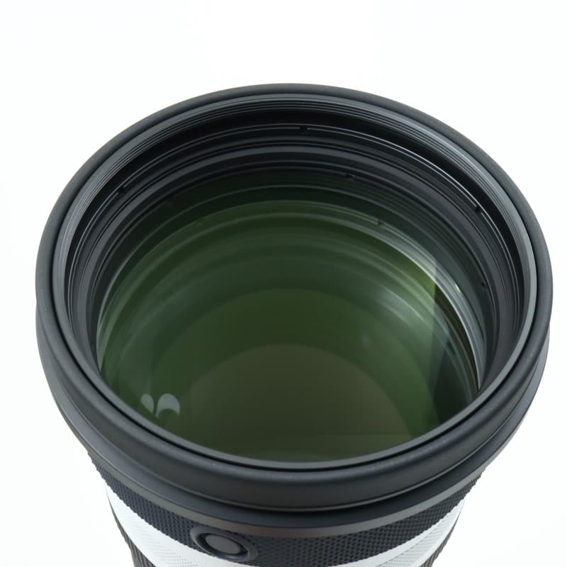 RF100-300mm F2.8 L IS USM