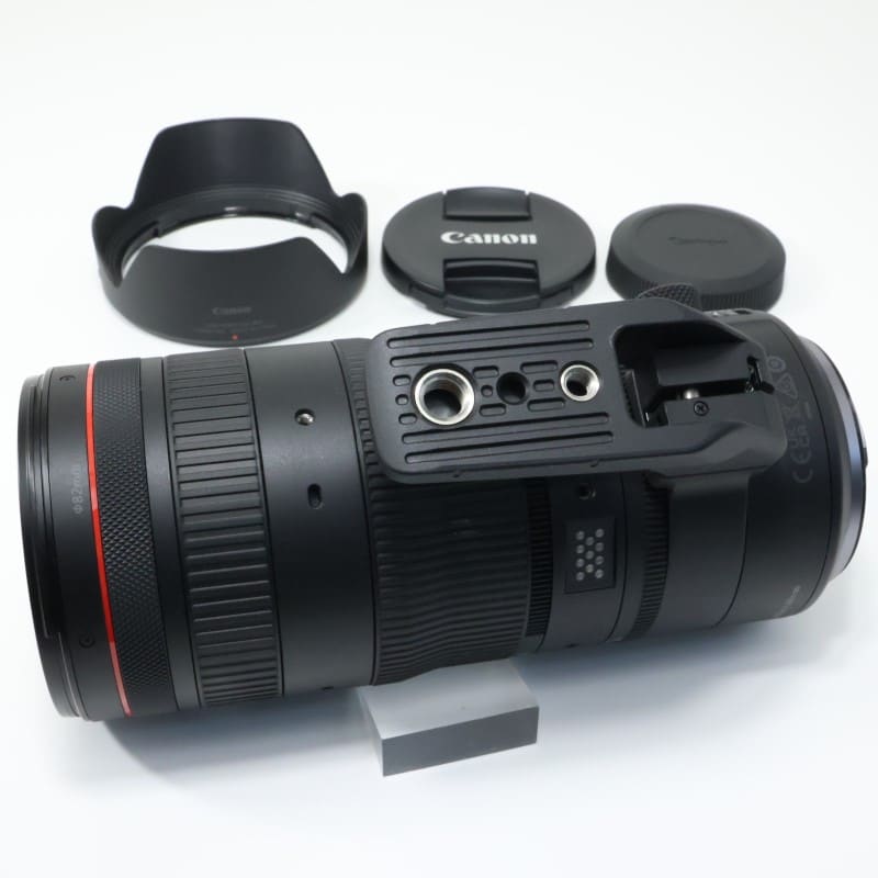 RF24-105mm F2.8 L IS USM Z