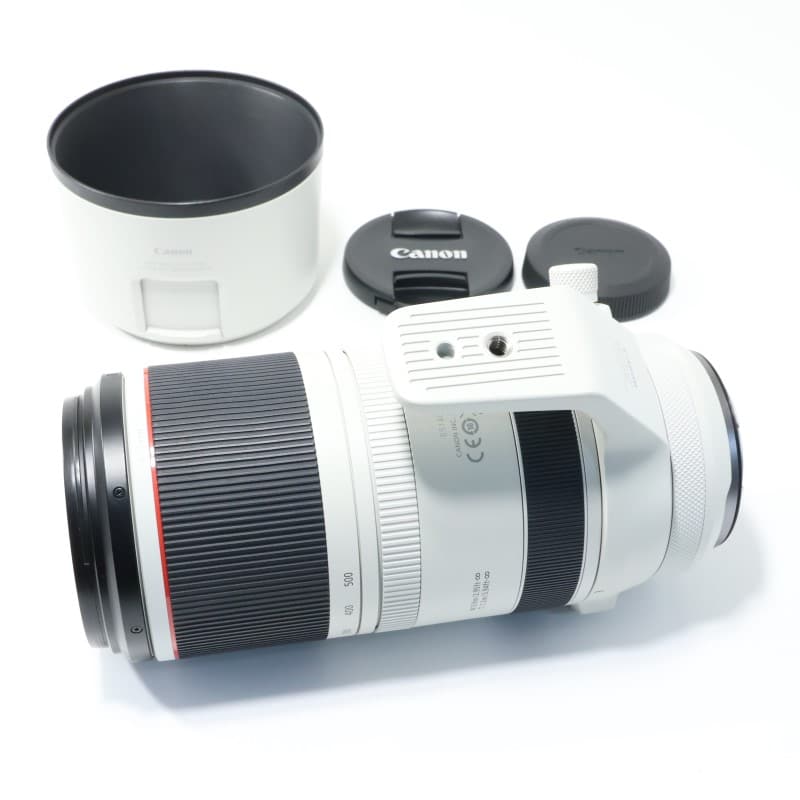 RF100-500mm F4.5-7.1 L IS USM