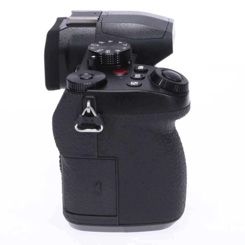 LUMIX G99II ボディ DC-G99M2