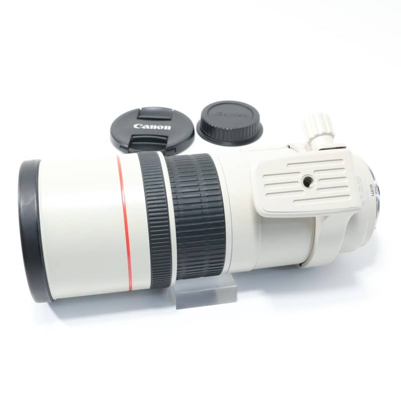 EF 300mm F4 L IS USM