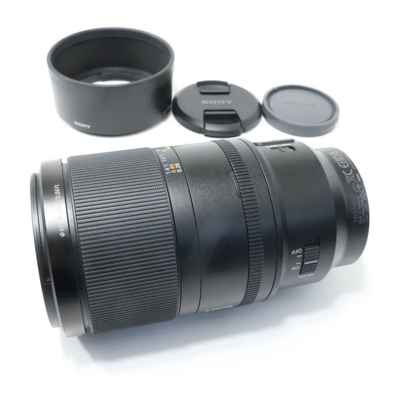 FE 100mm F2.8 Macro GM OSS SEL100M28GM