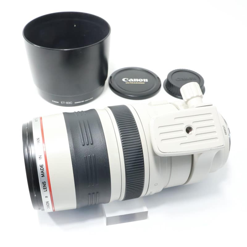 EF 100-400mm F4.5-5.6 L IS USM