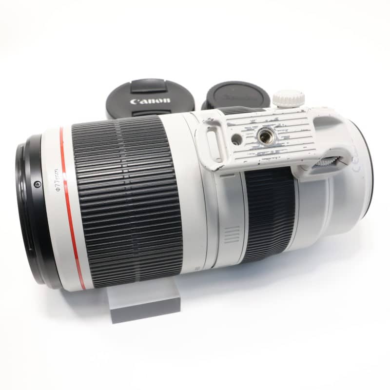 EF100-400mm F4.5-5.6L IS II USM