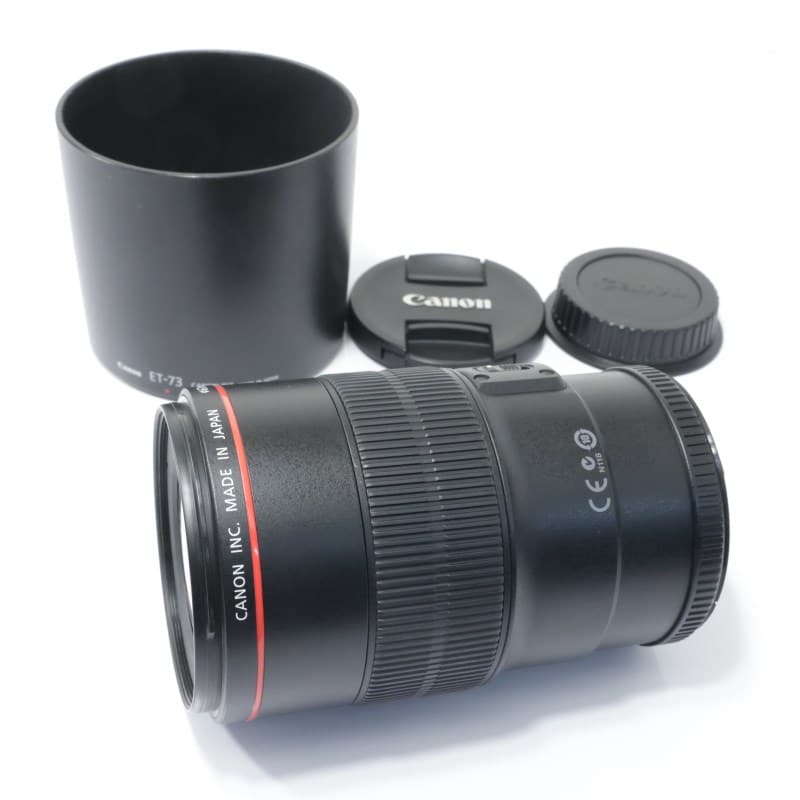 EF100mm F2.8Lマクロ IS USM