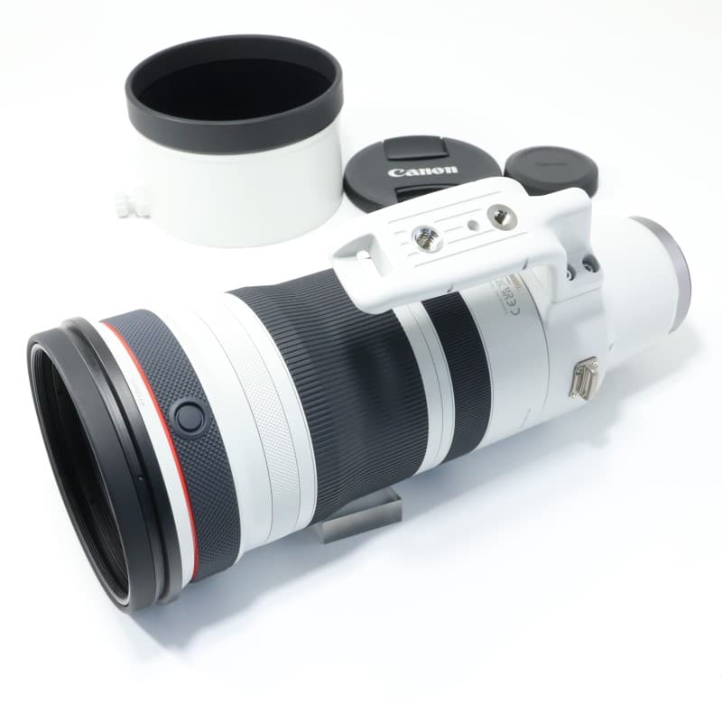 RF100-300mm F2.8 L IS USM
