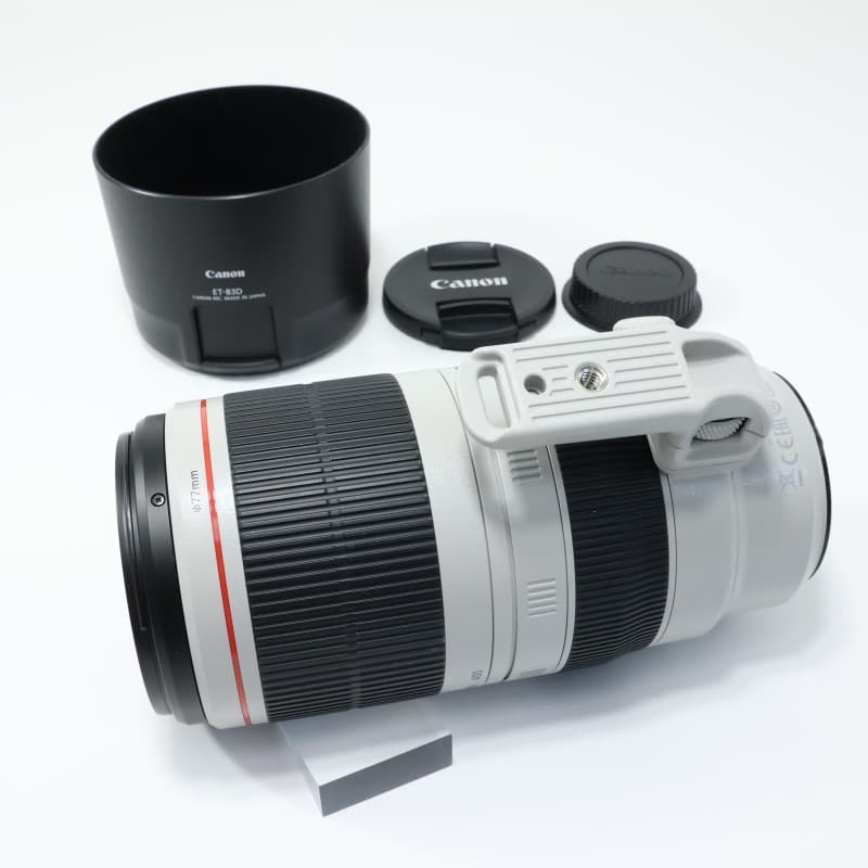 EF100-400mm F4.5-5.6L IS II USM