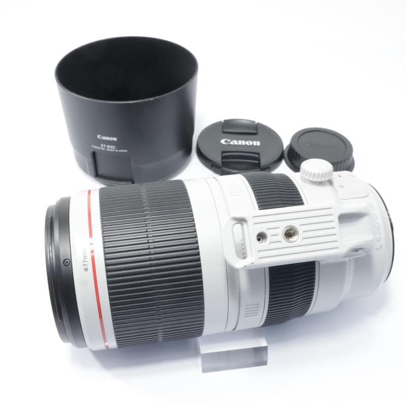 EF100-400mm F4.5-5.6L IS II USM