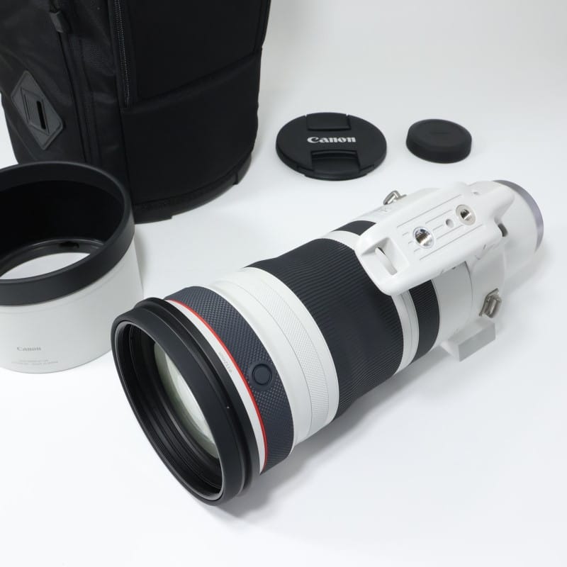 RF100-300mm F2.8 L IS USM