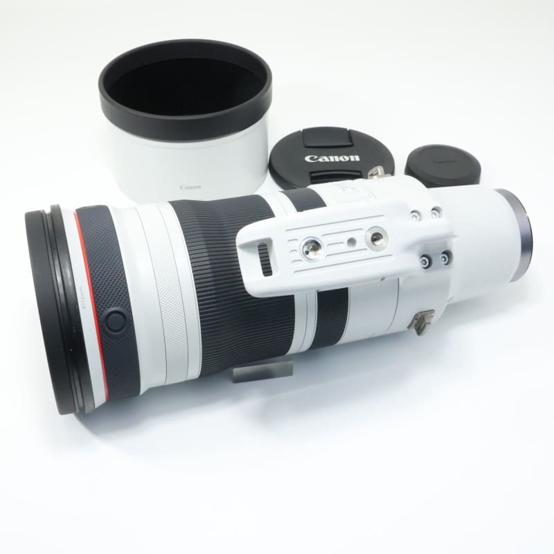 RF100-300mm F2.8 L IS USM