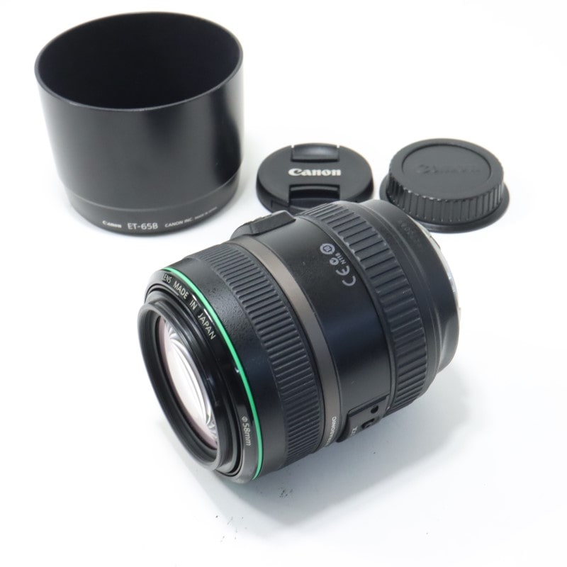 EF 70-300mm F4.5-5.6 DO IS USM