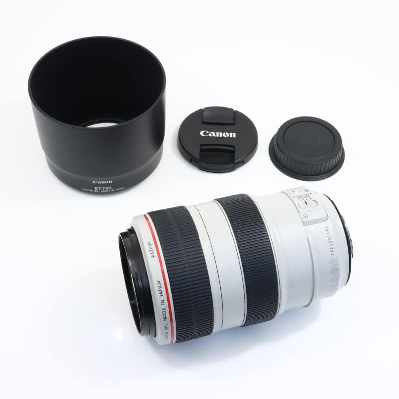 EF 70-300mm F4-5.6 L IS USM
